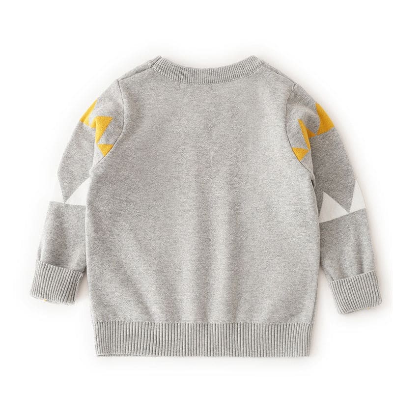 Boys Dinosaur Theme Sweaters Sweaters & Cardigans   